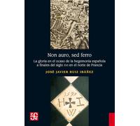 Non auro sed ferro: La gloria en el ocaso de la hegemonía española a finales del siglo XVI en el norte de Francia (Historia)