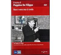 Non E' Vero Ma Ci Credo [Italia] [DVD]