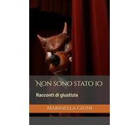 Non sono stato io: Racconti di giustizia