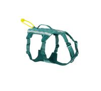 Non-stop Dogwear Arnés Largo Azul y Verde para perros