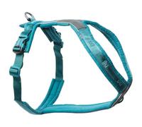 Non-Stop Dogwear Arnés Line 5.0, verde azulado, 4