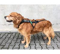 Non-Stop dogwear - Arnés para perros 'Non-Stop Freemotion', negro, 6