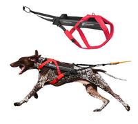 Non-stop dogwear FREEMOTION Arnés 5.0 |111| Arnés para perros para todos los deportes, talla: 3