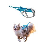 Non-Stop dogwear Freemotion - Arnés 5.0 para Perros, para Deportes como Correr, Andar en Bicicleta y Esquiar con Perros, arnés Profesional Ajustable para Perro, Azul/Gris, Talla 4