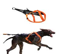 Non-stop dogwear Freemotion - Arnés 5.0 para Perros para Deportes como Correr, Ciclismo y esquí con Perros, arnés Profesional Ajustable para Perro, Naranja/Negro, Talla 7