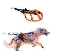 Non-stop dogwear Freemotion - Arnés 5.0 para Perros para Deportes como Correr, Ciclismo y esquí con Perros, arnés Profesional Ajustable para Perro, Naranja/Negro, Talla 5