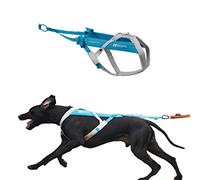 Non-Stop dogwear Freemotion - Arnés 5.0 para Perros, para Deportes como Correr, Ciclismo y esquí con Perros, arnés Profesional Ajustable para Perro, Azul/Gris, Talla 8