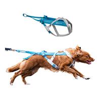 Non-stop dogwear Freemotion - Arnés 5.0 para Perros para Deportes como Correr, Ciclismo y esquí con Perros, arnés Profesional Ajustable para Perro, Azul/Gris, Talla 5