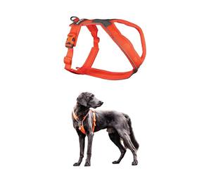 Non-stop dogwear Line Harness 5.0, Arnés acolchado para Perros Pequeños, Medianos y Grandes, diseñado para el senderismo, el Deporte y la Vida Activa de Todos los Días (Naranja, Talla 8).
