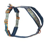 Non-Stop Dogwear Line Harness 5.0 Rachel Pohl Edition, verde azulado/roble - 5