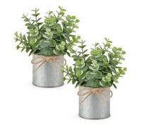 NONDK 2 Paquetes de Pequeñas Plantas Artificiales en Macetas Galvanizadas de Estilo Rústico. Centro de Mesa con Mini Eucalipto Artificial.