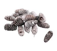 NONDK 20 Piezas de Decoraciones de Piñas, Piñas de Pino de Nieve Natural, Piñas de Pino Grandes, Adornos de Piña de Navidad