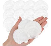 NONDK 25 Conchas de Vieira Naturales de la para Manualidades, Pintura, Temática Oceánica, Fiestas, Bodas, Decoración del Hogar, 5,08-7,62 cm.