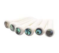 NONDK 6 Piezas de Clavijas de Puente de Guitarra de Hueso para Guitarra Acústica con Incrustaciones de Concha de Abulón, Accesorios para Guitarra