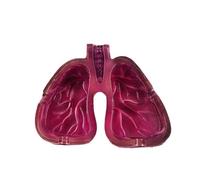 NONDK Cenicero de Resina con Forma de Pulmón, Arte Corporal de Órgano Humano, Decoración de Mesa para la Habitación del Hogar, Decoración de la Habitación