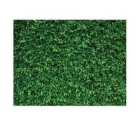 NONDK Fondos ColorNatural Decoración 202x152cm