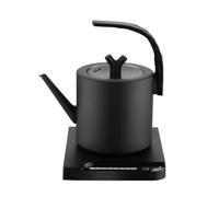 NONDK Hervidor Eléctrico de Cuello de Cisne de 1,0 L, 6 Configuraciones de Temperatura, 1000 W, para Café, Té y Avena, Enchufe Europeo Gratuito