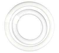 NONDK Juego de Bombillas Fluorescentes Redondas FC8T9/CW de 22 W y FC12T9/CW de 32 W, Color Frío, T9 de 22 Vatios y Paquete de Bombillas Circulares de 32 Vatios