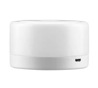 NONDK Mini Luz LED con Sensor Táctil, Recargable por USB, Portátil, para Dormitorio y Sala de Estar, Luz Fría.