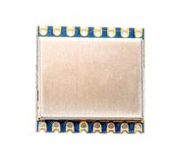 NONDK Módulo Lora de Medición de Rango de 2,4 GHz LORA1280-TCXO