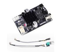 NONDK Placa Amplificadora Bluetooth DIY de 1001 W, Módulo de Audio Mono de Alta Potencia de 100 W, Placa Amplificadora de Sonido TPA3116.