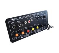 NONDK Placa Amplificadora de Audio de 30 W, Compatible con Micrófono Dual, Amplificador de Subwoofer Bluetooth para Altavoz de 4 Ohmios, 12 V, 24 V, 220 V, Enchufe de la UE