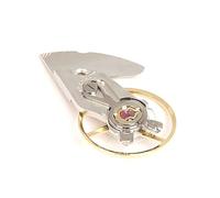 NONDK Rueda de Equilibrio de Movimiento para ETA 2892, Reemplazo de Rueda de Equilibrio de Reloj Mecánico, Accesorios para Relojes.