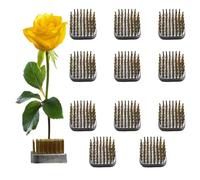 NONDK Soporte de Rana de Flores de 12 Piezas, Arreglo de Flores Cuadrado de 1,2 Pulgadas, Ranas Japonesas Kenzan para Fijación y Decoración de Flores