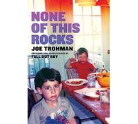 None of this Rocks: The brilliant first memoir by Fall Out Boy guitarist Joe Trohman