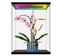 Nonemey Caja expositora acrílica Transparente con Cubierta Antipolvo, Vitrina de protección con Espejo, para Figuras de acción, coleccionables y Almacenamiento en el hogar(35×30×44cm)