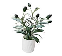 NonMiFyR Planta de Olivo Artificial en Maceta para Dormitorio, Mesa de Centro,