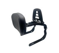 Nonuinz Respaldo Pasajero Trasero Multiusos Montaje Fijo para Motocicleta para B&MW R18 R 18 2022 2021 2020 Can Folds Up Sissy Bar Portaequipajes Portaequipajes Motocicletas (Color : 2)