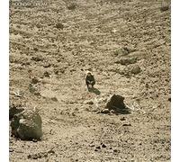 Noonday Dream Explicit Lyrics (CD) Ben Howard (Importación USA)