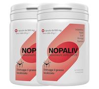 Nopaliv Suplemento adelgazante 120 cápsulas - Quemador de grasa rápido, drenante vientre plano, control apetito - Nopal, guaraná, moringa - natural, sin estimulantes (1)