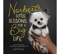 Norbert's Little Lessons for a Big Life