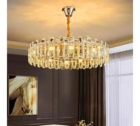 Nordic Home Decor Dining Room Pendant Lights Indoor Lighting Ceiling Lamp Hanging Light Chandelier Lamps for Living Room(Diameter 50CM,Warm White)