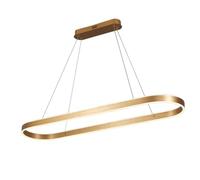 Nordic Style Wall Light Chandelier Light Dimmable LED Pendant Light, Creative Oval Hanging Light LED Pendant Lamp for Office Bar Coffee Dining Table Dining Room Hanging Lamp Hang