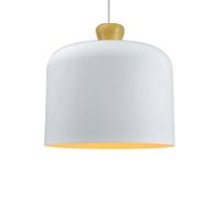 Nórdico Comedor de Comedor Personalidad Personal de Dormitorio Estudio Comedor de una Sola cafetería de Arte Creativo de Arte Creativo Moderno