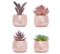 Nordik - Juego de 4 Plantas de Escritorio en Oro Rosa, decoración de Oficina para Mujeres, Interior, Sala de Estar, Dormitorio, hogar y Escritorio, macetas geométricas de cerámica de imitación Rosa