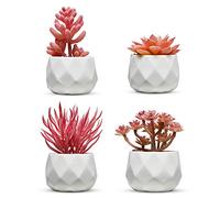 Nordik - Juego de Cuatro suculentas Artificiales en Miniatura, geométricas, Redondas, Blancas, decoración de Oficina para Escritorio, Interior, Sala de Estar, hogar y Escritorio, suculentas