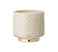 Nordring Maceta Goldy - Macetero Decorativo Redondo para Flores e Plantas para Interiores S (10 cm ø), Verde Claro, Cerámica