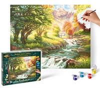 Noris Spiele Schipper 9130 412 números de Color - La Trucha de Arroyo - 40x50 cm [Importado de Alemania]