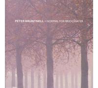 Normal For Bridgwater by Peter Bruntnell (1999-05-31)