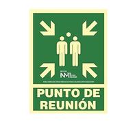 Normaluz B1G106 - Señal Luminiscente Punto De Reunion Clase B PVC 0,7mm 45x60cm con CTE, RIPCI