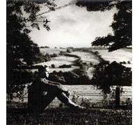 Normil Hawaiians - What's Going On [Vinilo]