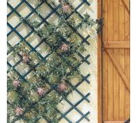 Nortene | Celosia Extensible PVC Trelliflex 1x3 M Verde | Decoración Exterior | Cerramientos Ambientes Modernos