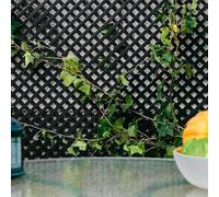 Nortene Celosía Fija Pvc Antracita 18 mm Decorativa 18, 0.60 X 1.15 | Ideal Para La Decoración De Exteriores, Color Antracita, Fácil Instalación En Terraza, Balcón Y Jardín, Fácil Instalación