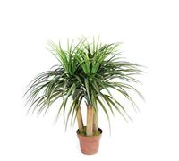 Nortene | Planta Artificial Nolina Mini 75 Cm | Plantas Artificiales Decorativas | Planta Artificial Realista | Planta Artificial Grande | Ideal para Decoración De Hogar Y Oficina