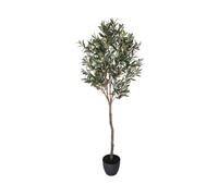 Nortene | Planta Artificial Olivo 150 Cm | Plantas Decorativas | Planta Artificial Realista | Ideal Para Decoración De Hogar Y Oficina