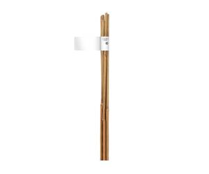 NORTENE Tutor Bamboo Resistente para Plantas y Huerto Bambú 1.5M